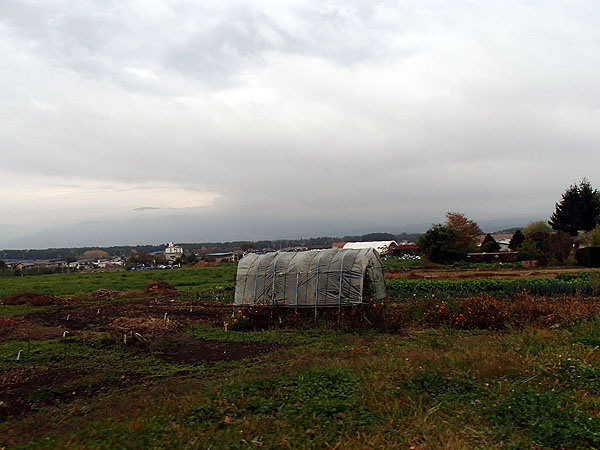 伊那付近から見た進行方向の景色